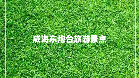 威海東炮臺旅游景點(diǎn)