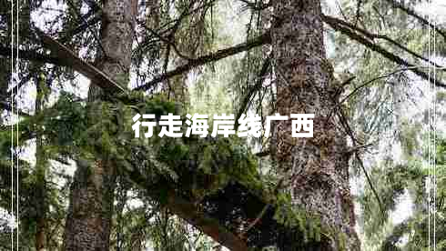 行走海岸線(xiàn)廣西