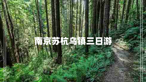 南京蘇杭烏鎮三日游
