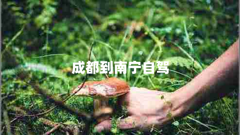 成都到南寧自駕
