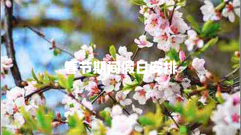 春節期間假日安排