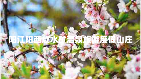 陽(yáng)江陽(yáng)西咸水礦溫泉旅游度假山莊