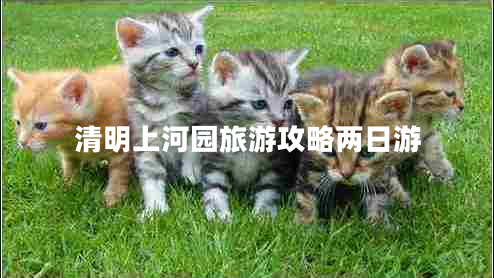 清明上河園旅游攻略?xún)扇沼? title=