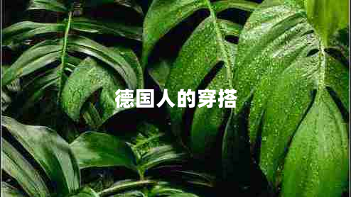 德國人的穿搭