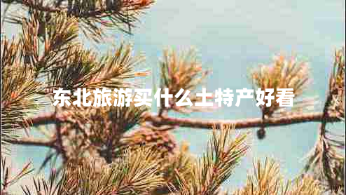 東北旅游買(mǎi)什么土特產(chǎn)好看
