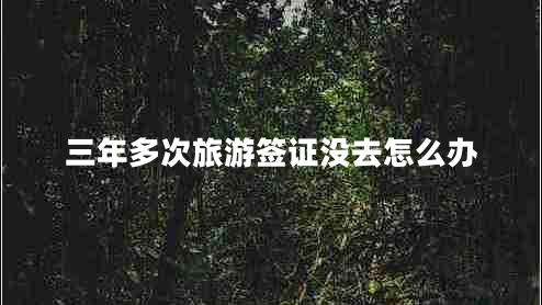 三年多次旅游簽證沒(méi)去怎么辦