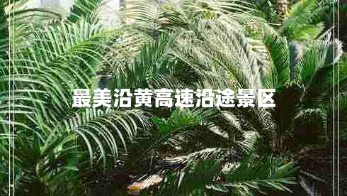 最美沿黃高速沿途景區