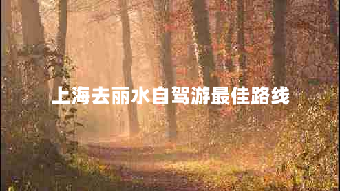 上海去麗水自駕游最佳路線(xiàn)