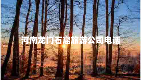 河南龍門(mén)石窟旅游公司電話(huà)