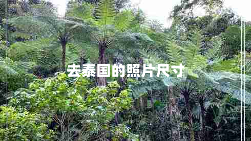 去泰國的照片尺寸