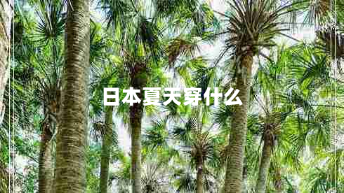 日本夏天穿什么