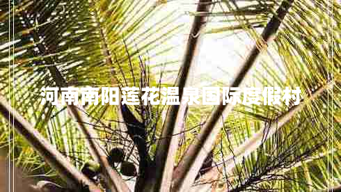 河南南陽(yáng)蓮花溫泉國際度假村