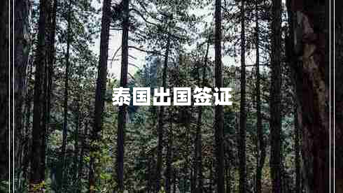 泰國出國簽證