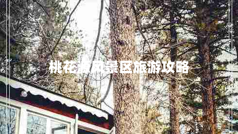 桃花源風(fēng)景區旅游攻略
