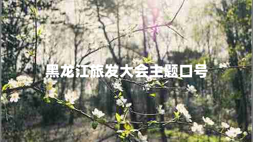 黑龍江旅發(fā)大會(huì )主題口號