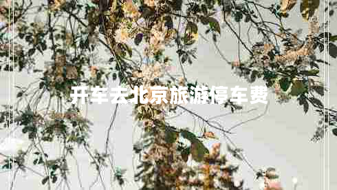 開(kāi)車(chē)去北京旅游停車(chē)費