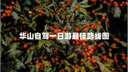華山自駕一日游最佳路線(xiàn)圖