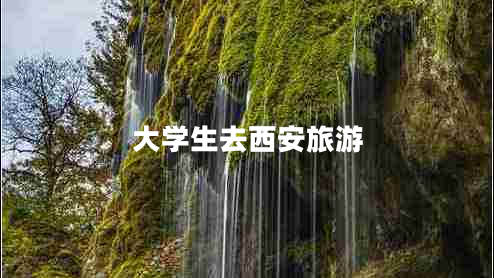 大學(xué)生去西安旅游