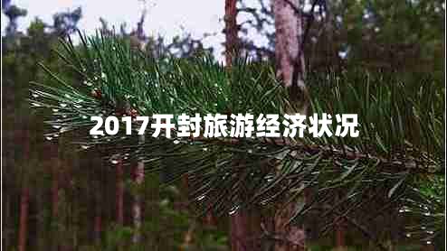 2017開(kāi)封旅游經(jīng)濟狀況