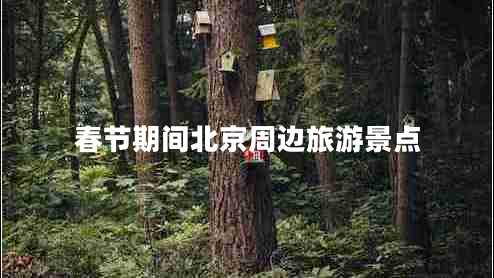 春節期間北京周邊旅游景點(diǎn)