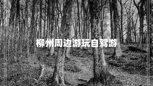 柳州周邊游玩自駕游