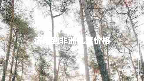 濟南到非洲機票價(jià)格