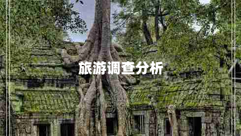 旅游調查分析