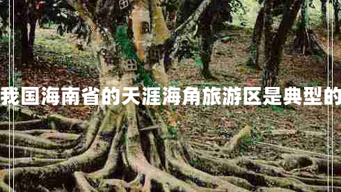 我國海南省的天涯海角旅游區是典型的