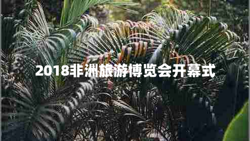 2018非洲旅游博覽會(huì )開(kāi)幕式