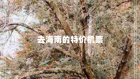 去海南的特價(jià)機票