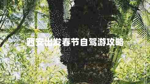 西安出發(fā)春節自駕游攻略