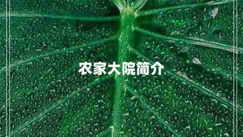 農家大院簡(jiǎn)介