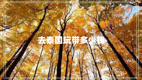 去泰國玩帶多少錢(qián)