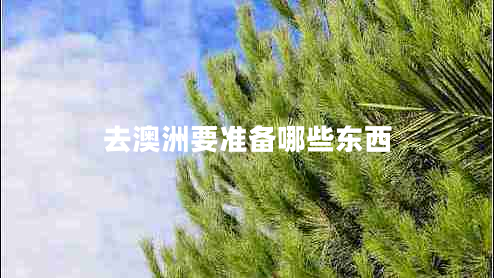 去澳洲要準備哪些東西