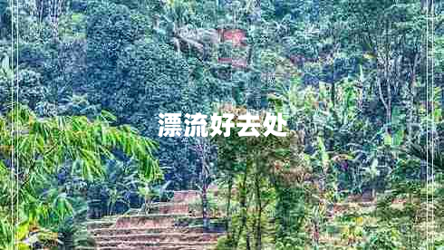 漂流好去處