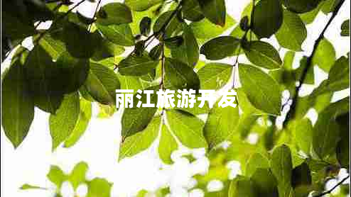 麗江旅游開(kāi)發(fā)