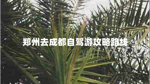 鄭州去成都自駕游攻略路線(xiàn)