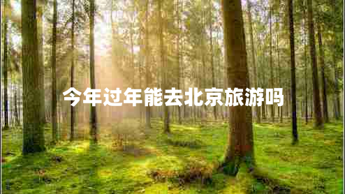 今年過(guò)年能去北京旅游嗎