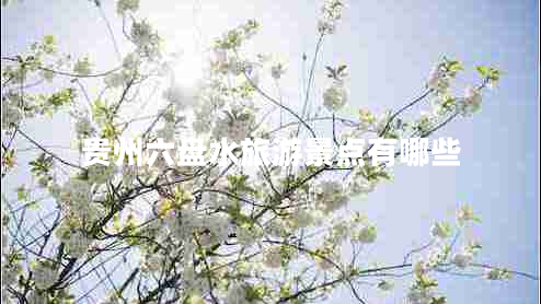 貴州六盤(pán)水旅游景點(diǎn)有哪些