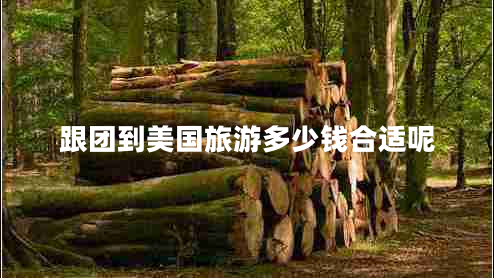 跟團到美國旅游多少錢(qián)合適呢