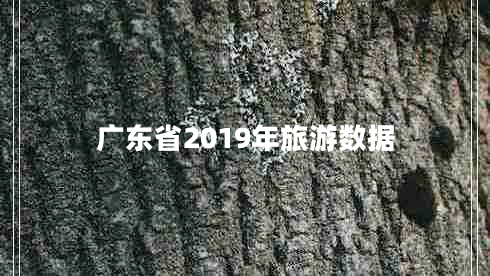 廣東省2019年旅游數據