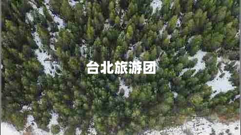 臺北旅游團