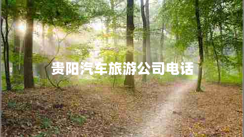 貴陽(yáng)汽車(chē)旅游公司電話(huà)
