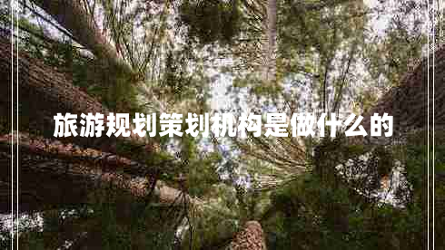 旅游規劃策劃機構是做什么的