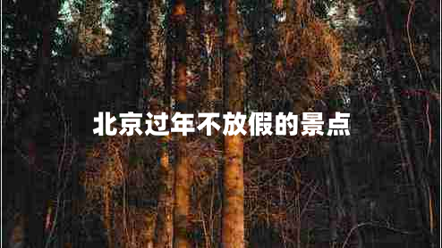 北京過年不放假的景點(diǎn)