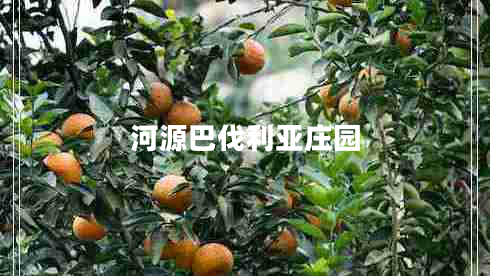 河源巴伐利亞莊園