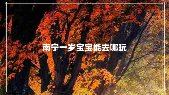 南寧一歲寶寶能去哪玩
