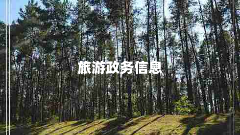 旅游政務(wù)信息