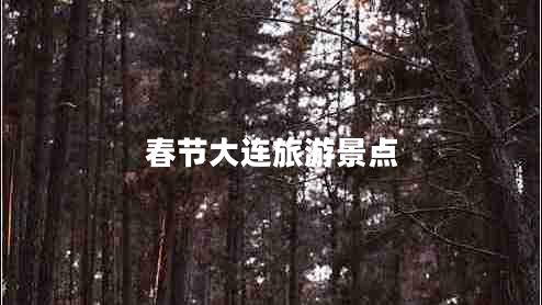 春節大連旅游景點(diǎn)