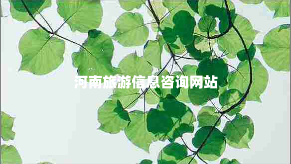 河南旅游信息咨詢(xún)網(wǎng)站